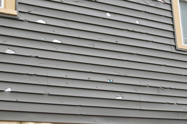 How To Choose The Right Materials for Your Siding Installation in 'Dayton, NV